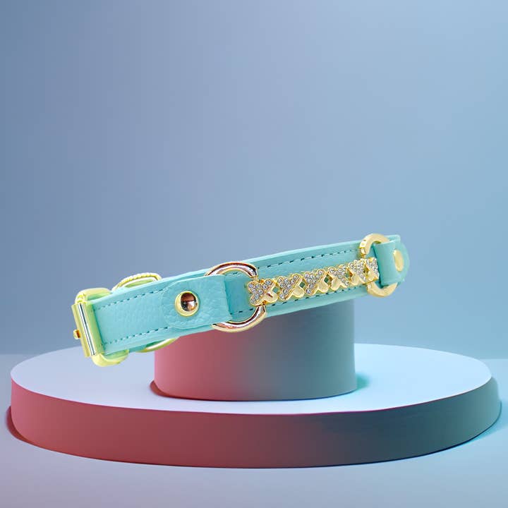 PupWiser - Wholesale Pet Collar - Dog - MAXIMA Handmade Leather Dog Collar (Orange and Turquoise)7