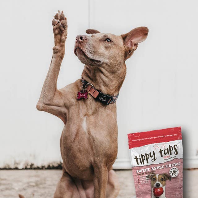 Tippy Taps Treats - Wholesale Pet Treats - Dog - Natural Dog Treats, Sweet Apple Chews 100gr, Vegan Gluten Fr2