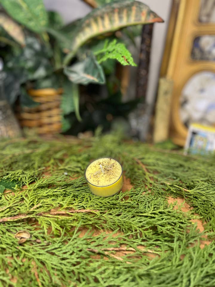 Focus Pocus Intention Tea Light for wholesale by Wholesomeology