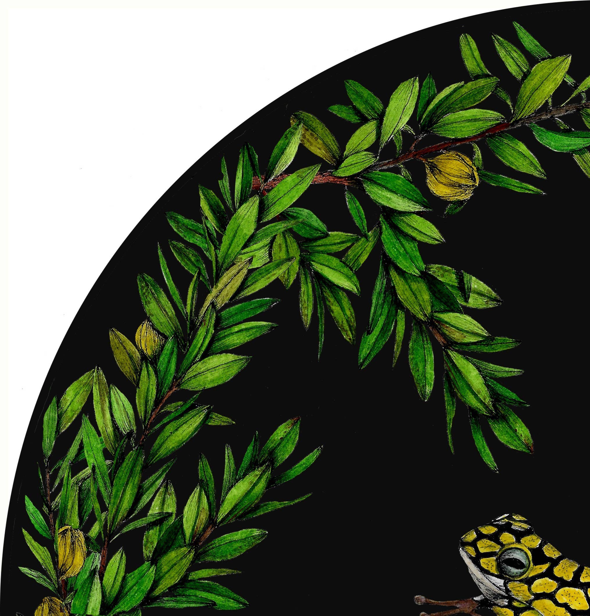 SENA CIFUENTES – Großhandel 3D-Wandkunst – RUNDE ALIA 81