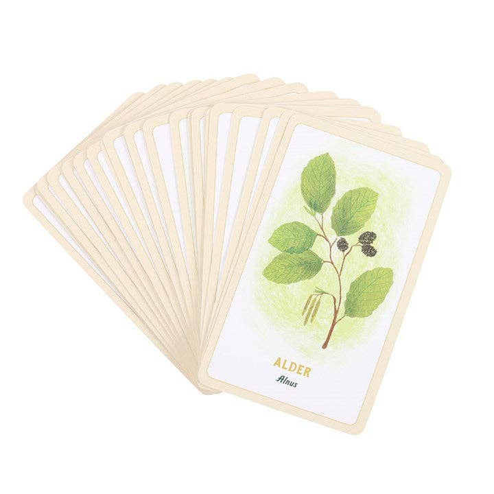 Something Different Wholesale - Wholesale Tarot Cards - Forest Magic Oracle Cards4