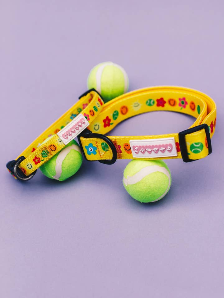 Smilies & Ballies Pet Collar for wholesale by Limpet Store