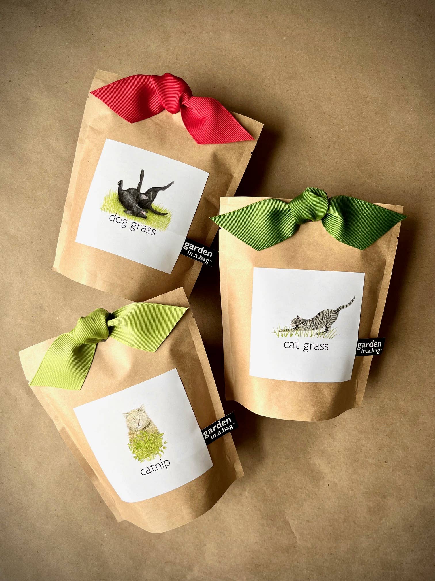 Potting Shed Creations, Ltd. - Wholesale Pet Treats - Dog - Garden in a Bag | Dog Grass | Spring Pet Treat Gift6