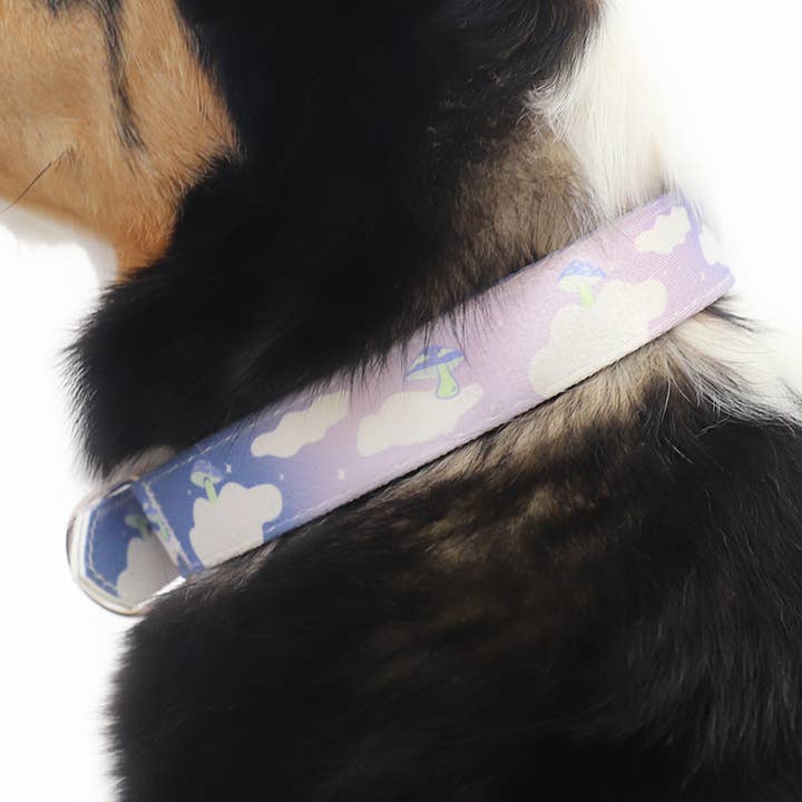 Ruby for wholesale by Daisy by Shelby