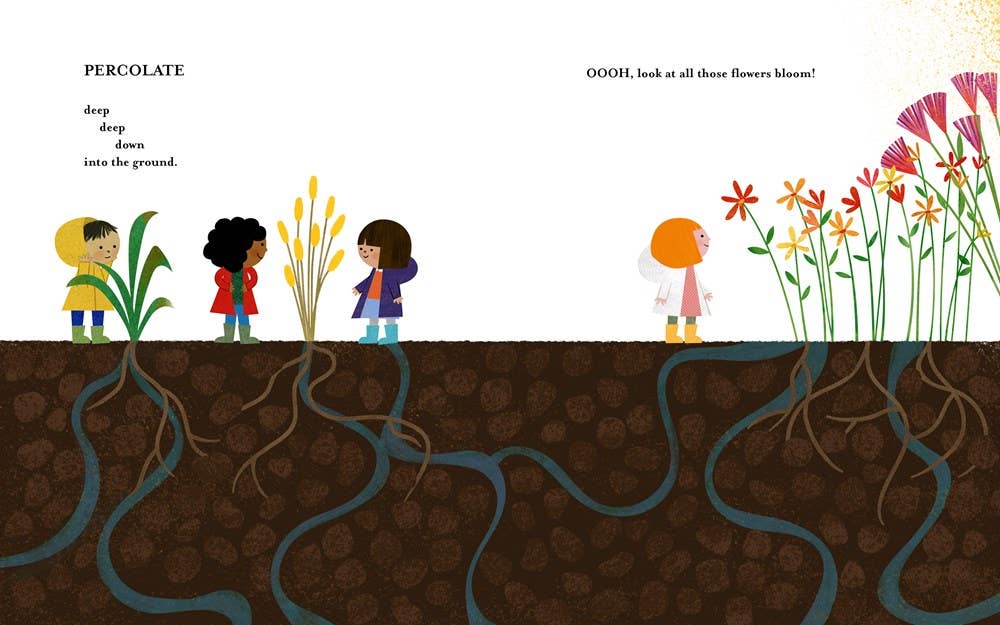 W. W. Norton - Wholesale Nature & Outdoors - A Place for Rain15