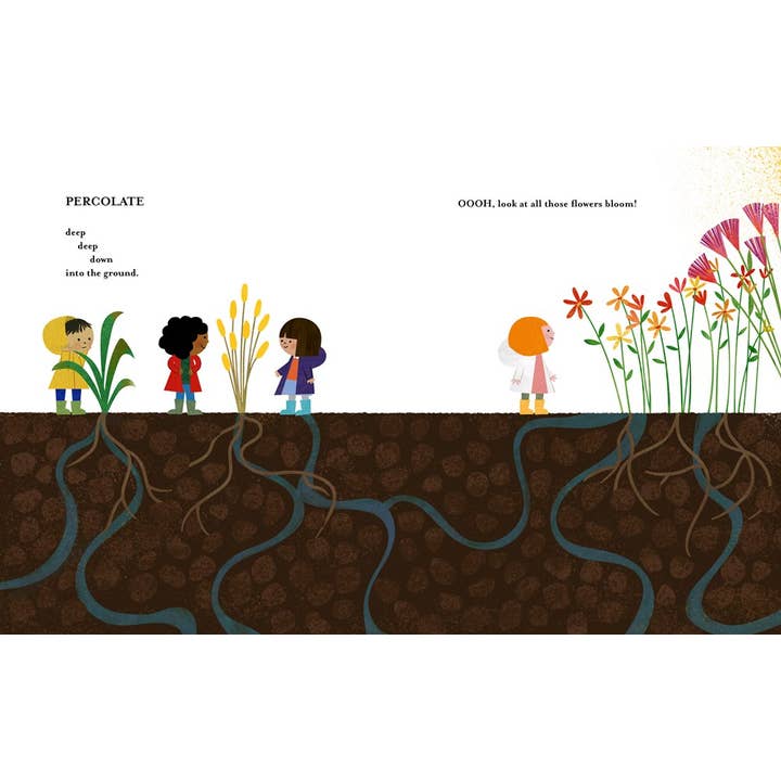 W. W. Norton - Wholesale Nature & Outdoors - A Place for Rain15