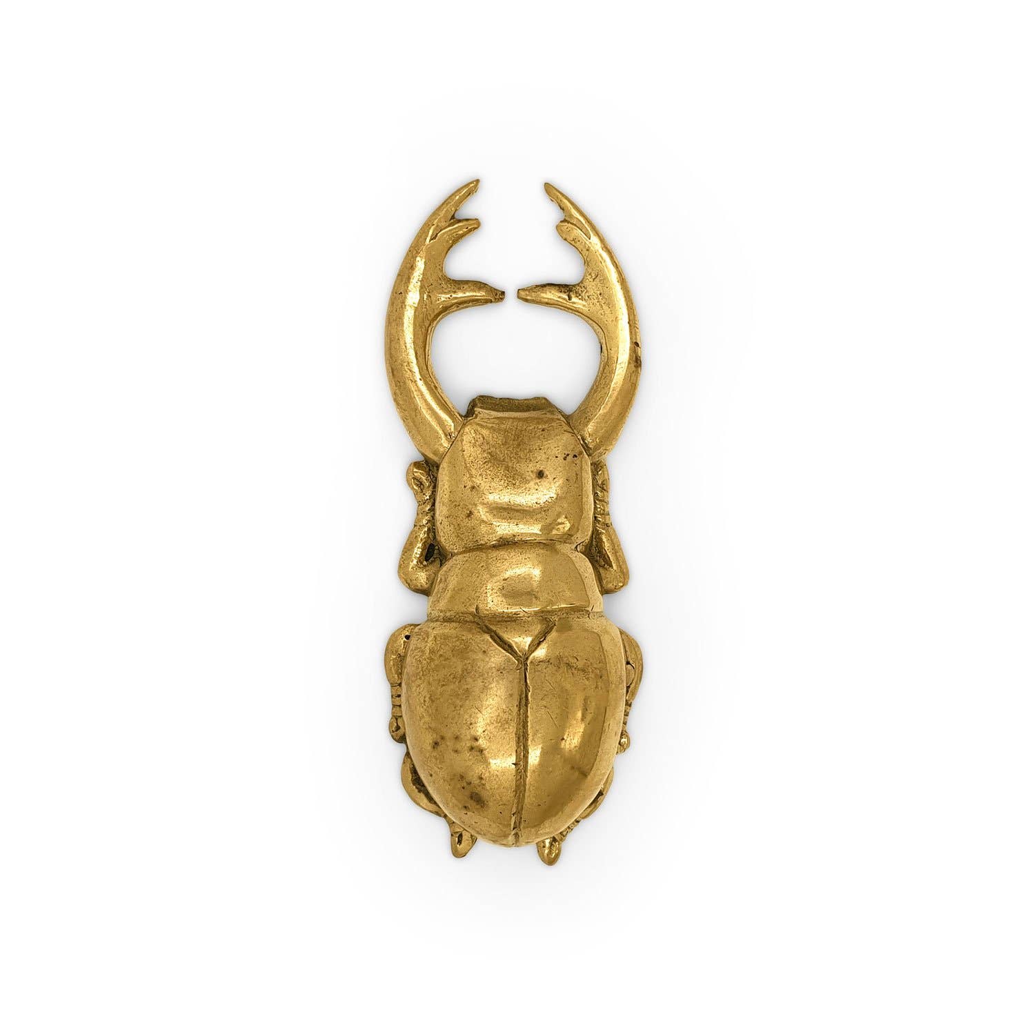 FERN - Wholesale Fles/wijnopener - Flesopener in de vorm van een Atlaskever2