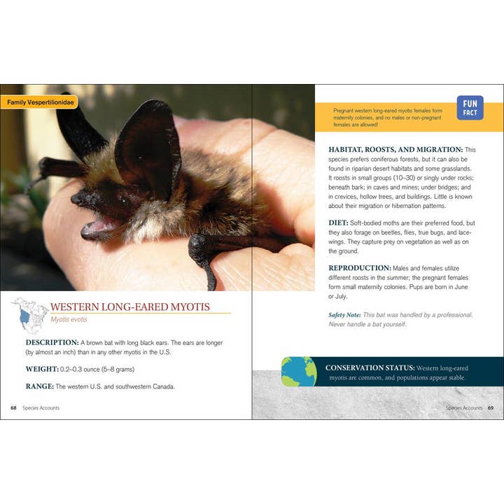 AdventureKEEN - Wholesale Book - Adult - Bat Basics