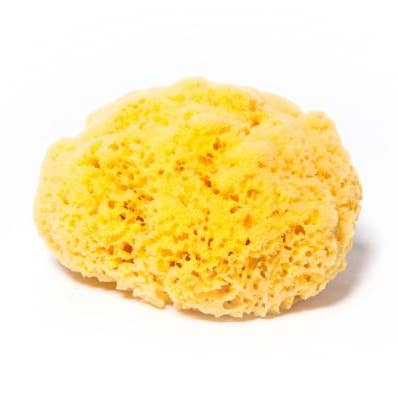 Yellow Sea Sponge Cuts for wholesale by Sponges Direct