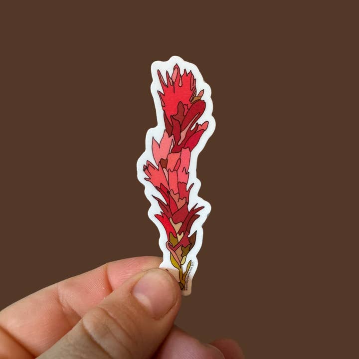 Artwork by Sophia - Wholesale Sticker - Indian Paintbrush | Vinyl Sticker | Colored Drawing | 3in
