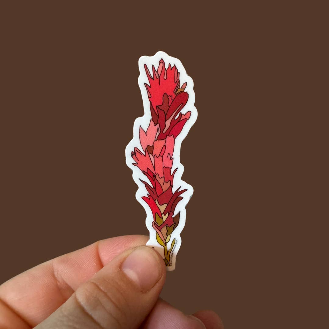 Artwork by Sophia - Wholesale Sticker - Indian Paintbrush | Vinyl Sticker | Colored Drawing | 3in