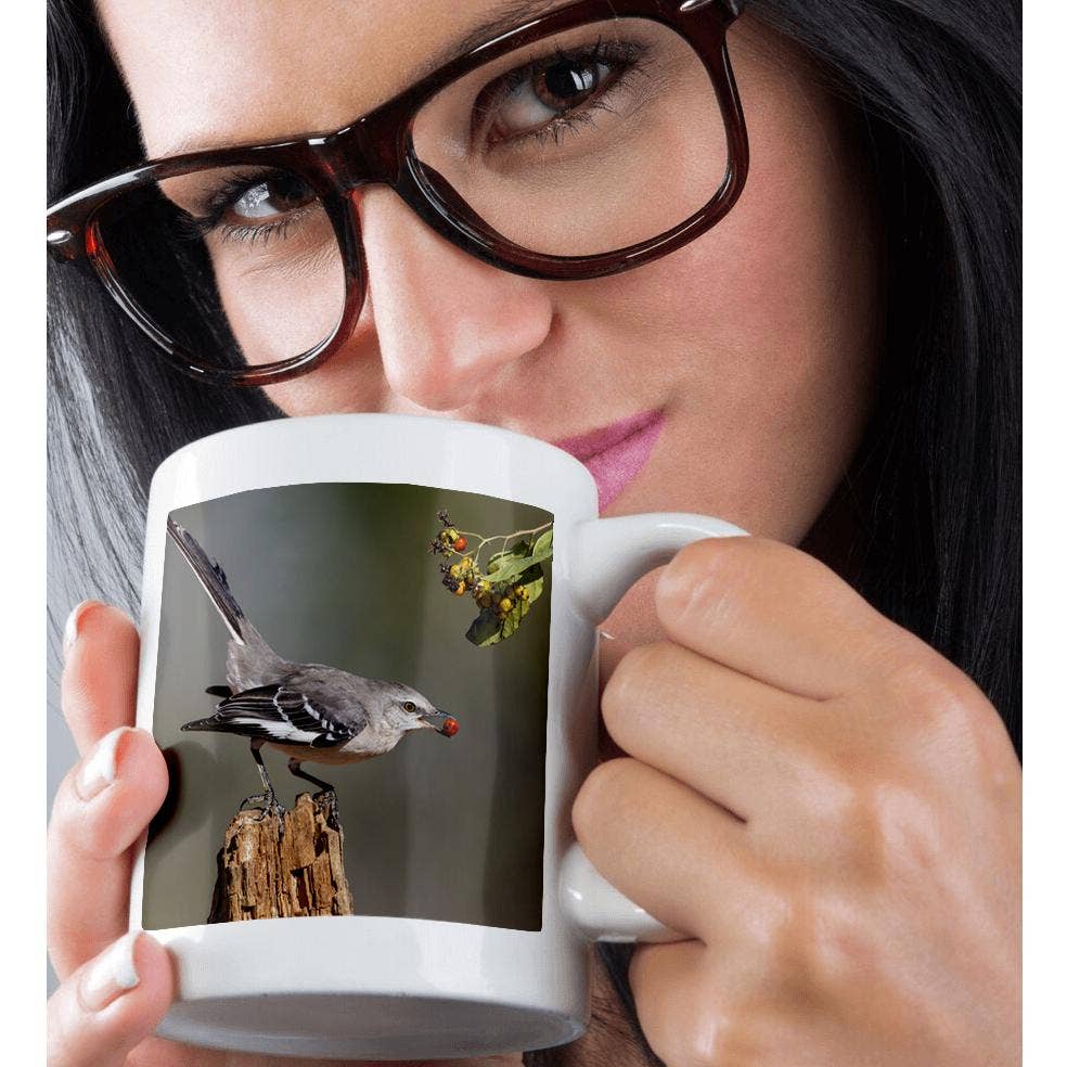 3dRose - Wholesale Coffee Mug - 3dRose, Northern mockingbird with berry., Mug9
