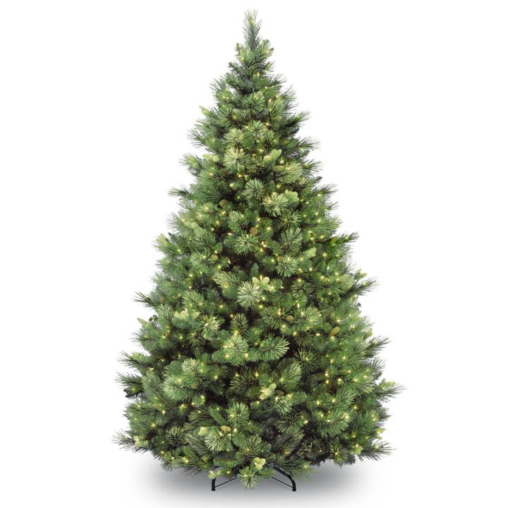 7 ft. Pre-Lit Carolina Pine Tree with Clear Lights, Plug-In for wholesale by National Tree Company