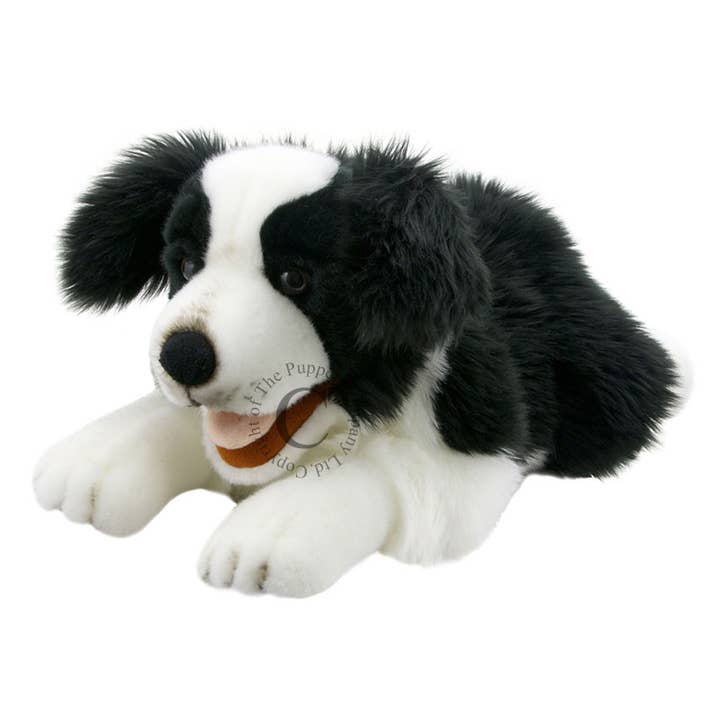 Marionnette à main Playful Puppies - Border Collie pour la vente par The Puppet Company (US)