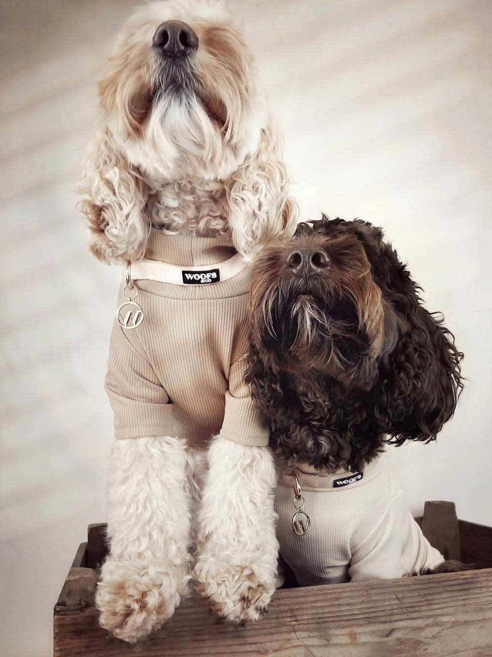 Woofs & Co – coleira - Cão por atacado – Colar com Pendente - Dune3