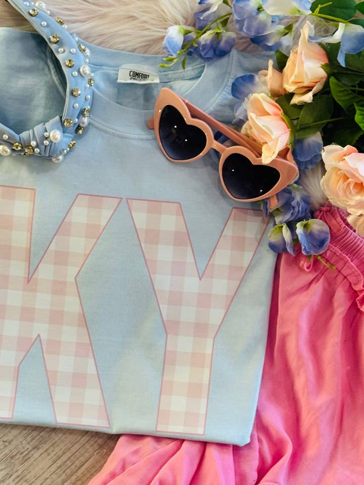 KY Pink Gingham State Sweatshirt/Tee for wholesale by P&PD Wholesale