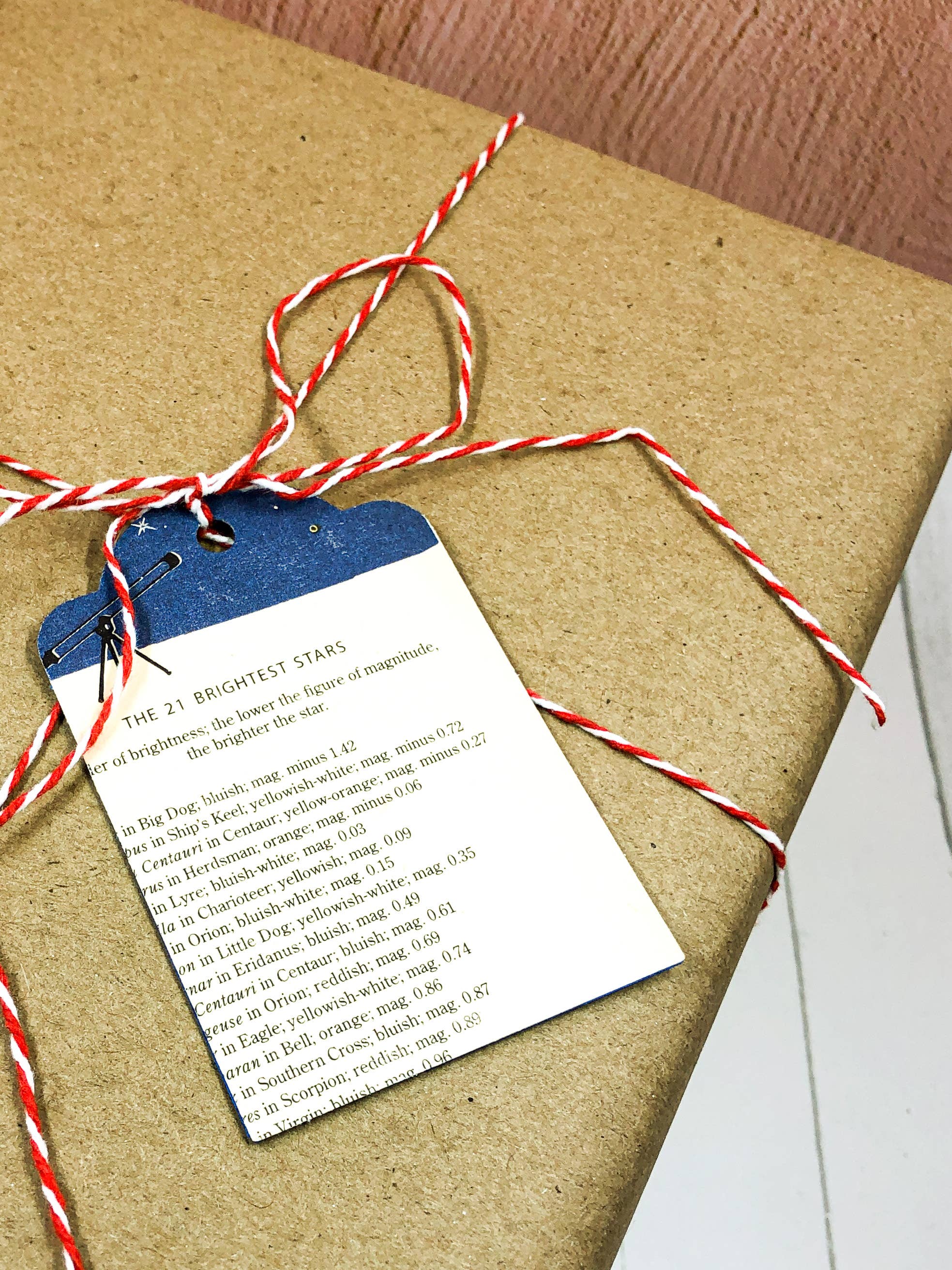 Moonbeam Mercantile - Wholesale Gift Tag - Vintage Upcycled Gift Tags Set of 10.3