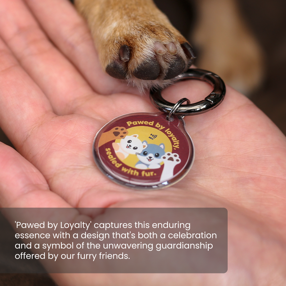 Pawnec - Wholesale Pet Identification Tag - Cat/Dog - IndieTag "Glow n Go"21