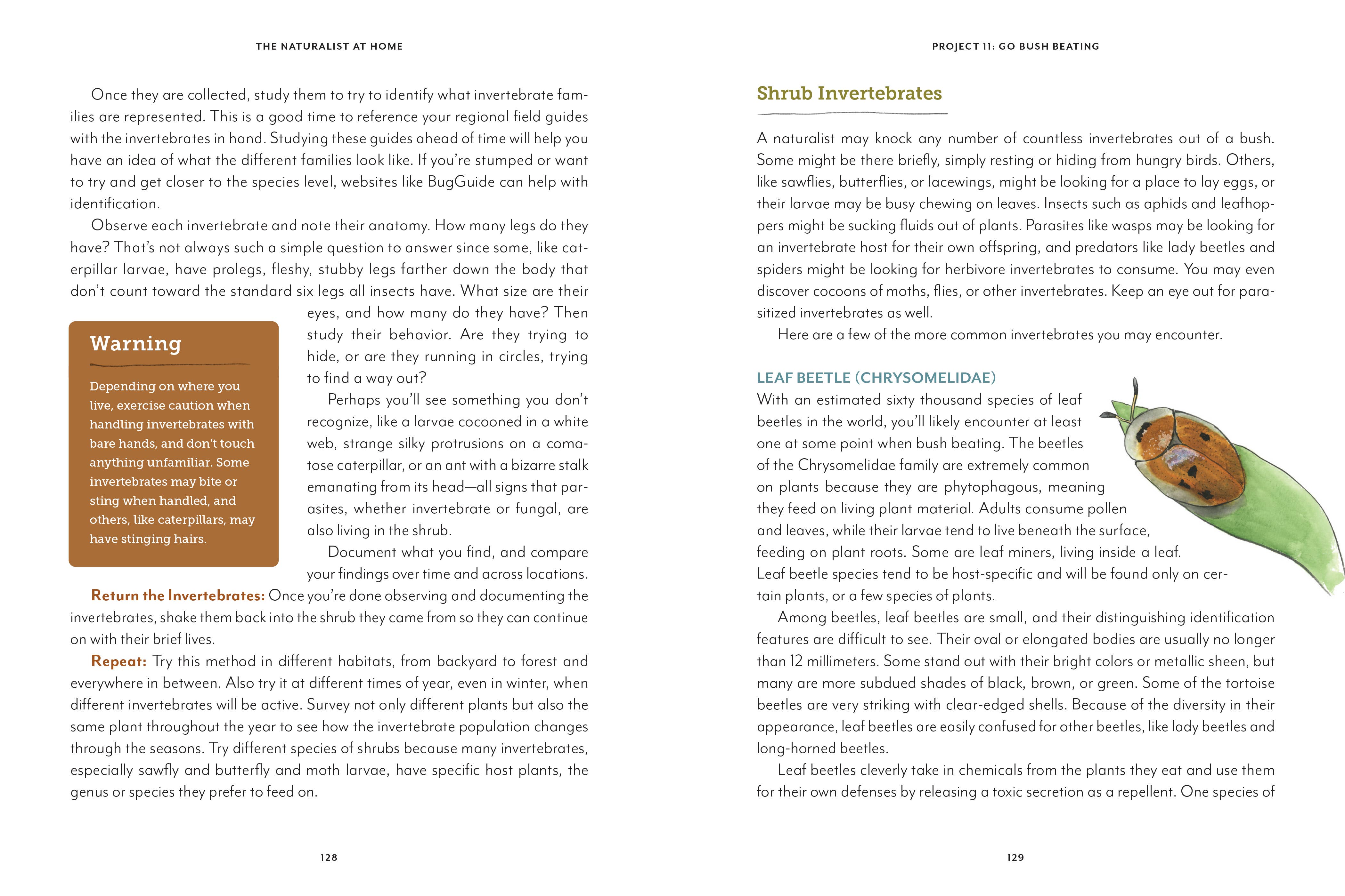 Mountaineers Books - Wholesale Nature & Outdoors Book - The Naturalist at Home5