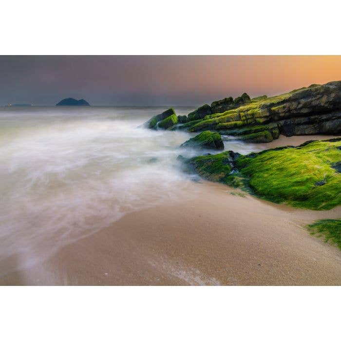 Huile parfumée de mousse d'Irlande pour bougies, cires à fondre pour la vente par Blossom Oils