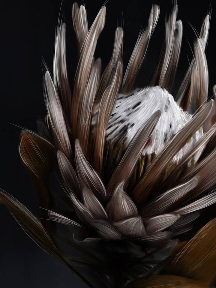 Affisch Protea 2.0 för wholesale av Linn Wold