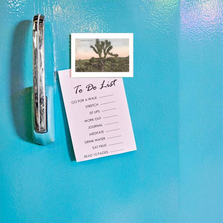 Found Image Press - Wholesale Magnet - Magnet CD-113 Joshua Tree