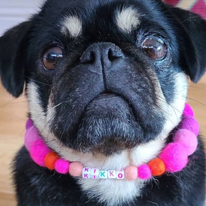 Puppies & Pom Poms - Wholesale Pet Collar - Dog - Pink - Personalised Pom Pom Dog Collar21