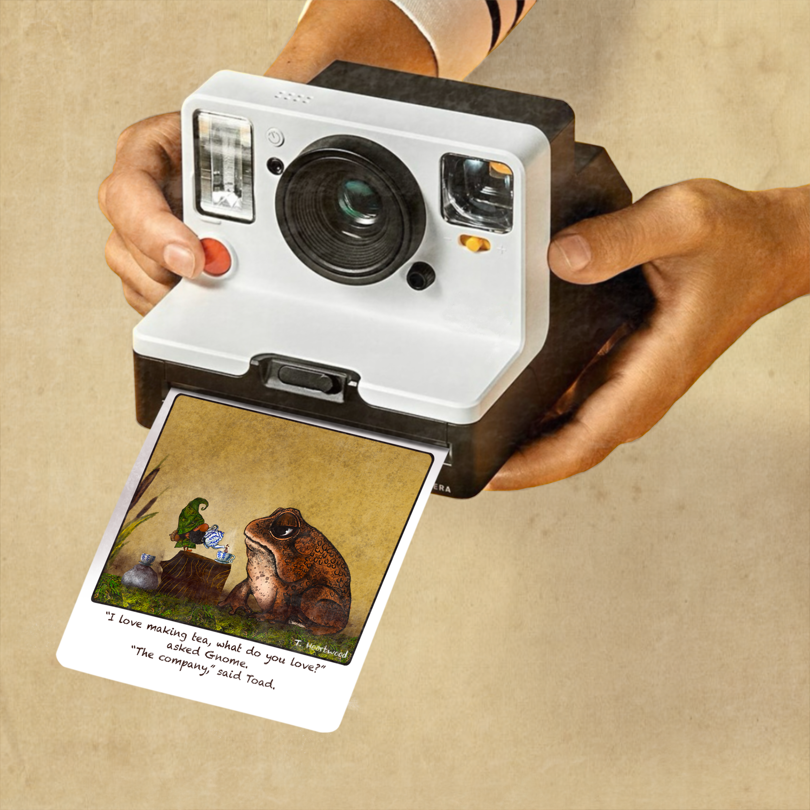 Dafri Studios - Wholesale Encouragement Card - The Company “Gnome&Toad” Polaroid Collection1