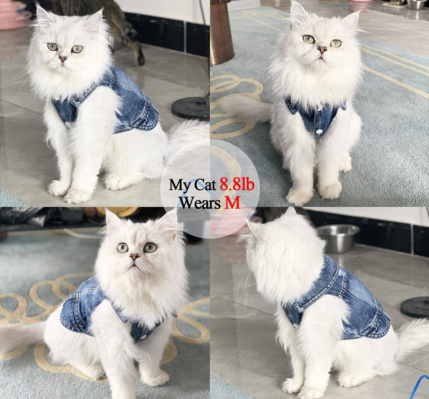 Furr-Baby Gifts - Wholesale Pet Sweater - Dog - Pet Dog Cat Blue Denim Jeans Jacket Coat Vest6