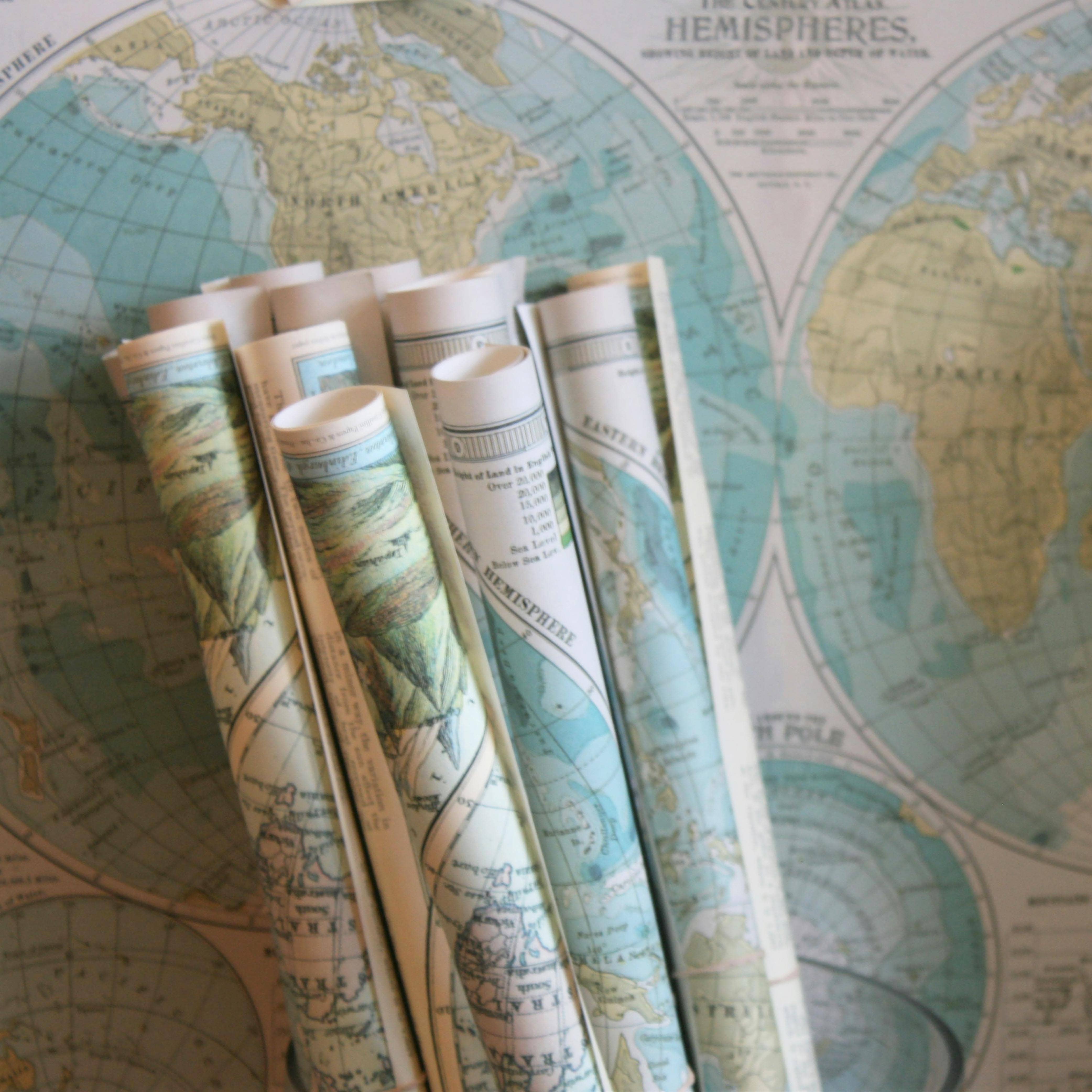 Swinford Designs - Wholesale Art Print - Vintage Seed Pack Art Print - Burpees Pansies Spring Decor5