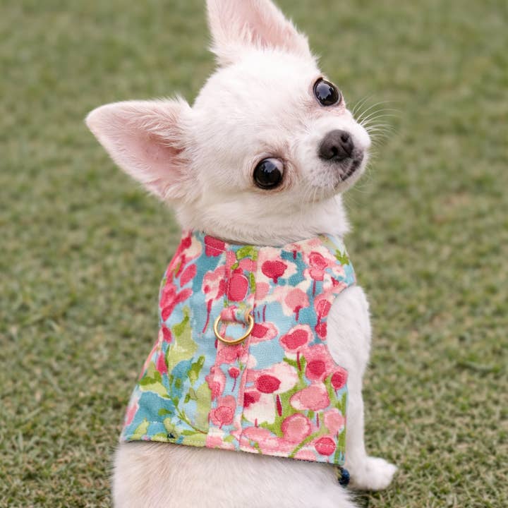 Watercolor Harness for wholesale by Heads or Tails Pup