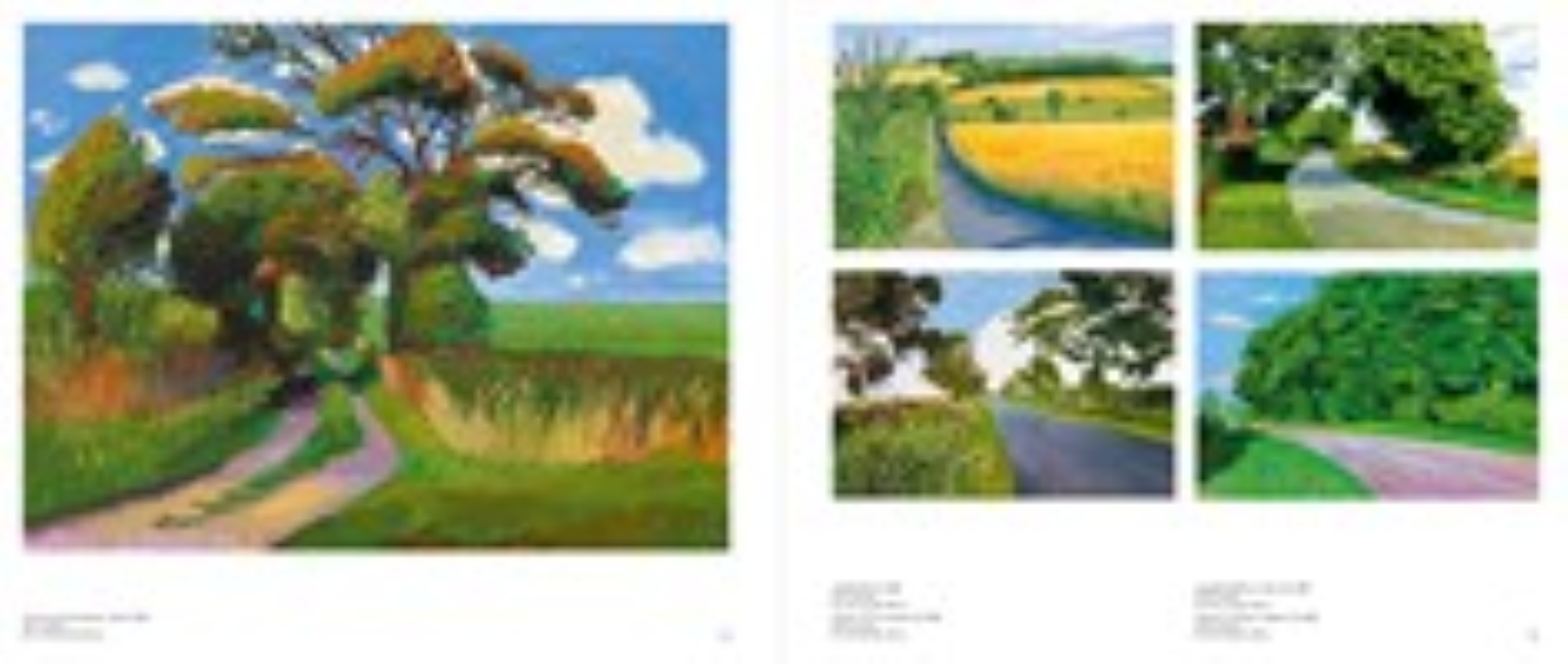 W. W. Norton - Wholesale Arts & Entertainment - David Hockney6