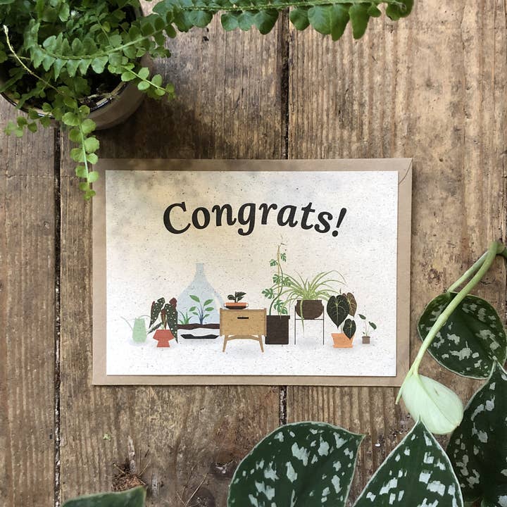 Parabéns! por atacado de Studio by Taco