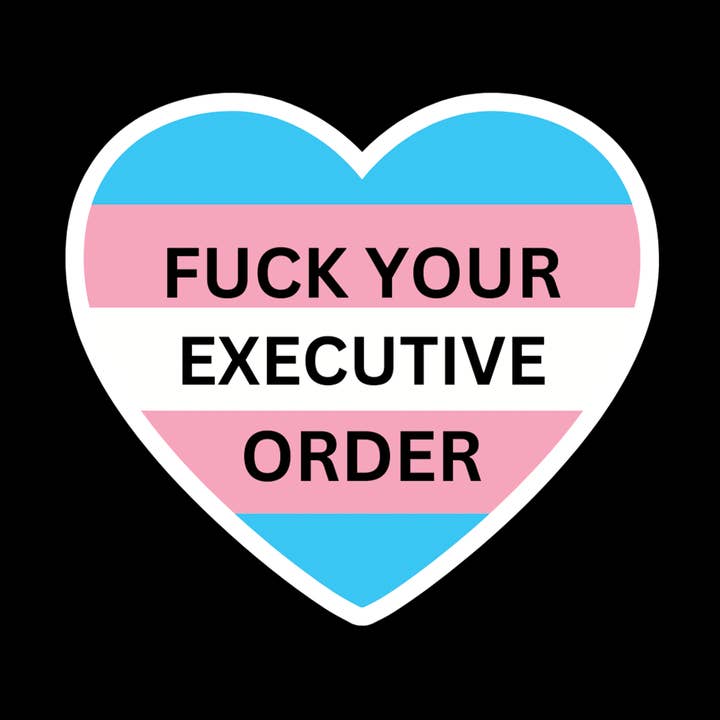 Fuck Your Executive Order- Trans Flag Heart Sticker for wholesale by Kennidi Co.