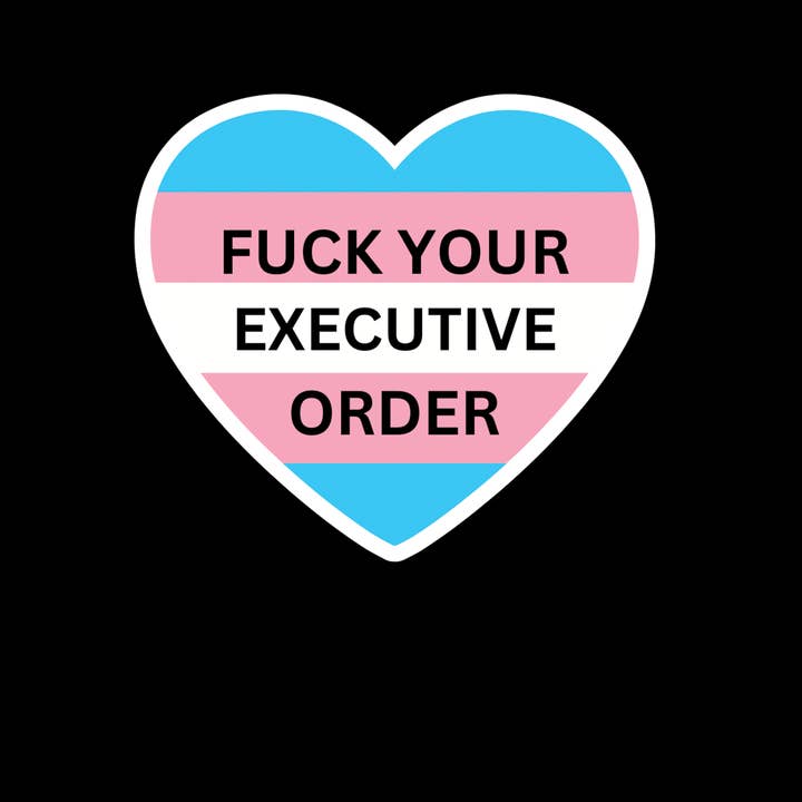 Fuck Your Executive Order- Trans Flag Heart Sticker for wholesale by Kennidi Co.