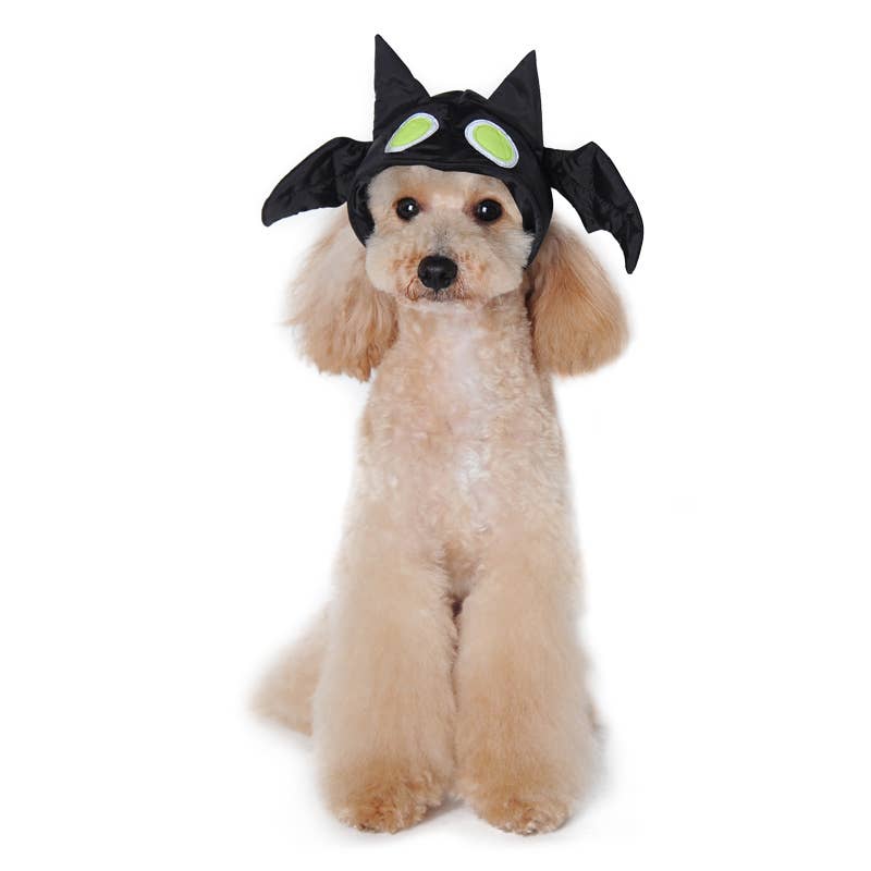 Dogo Pet - Wholesale Pet Hat - Dog - Bat Hat4