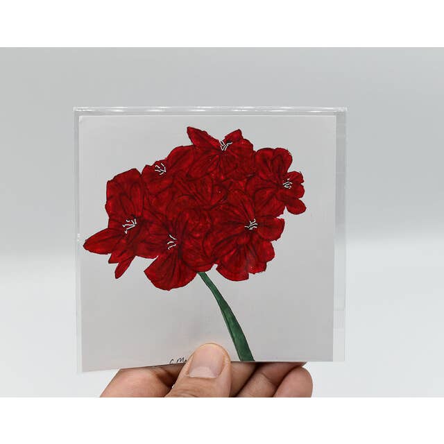 Pelargonium-print voor wholesale door Chava Mancera