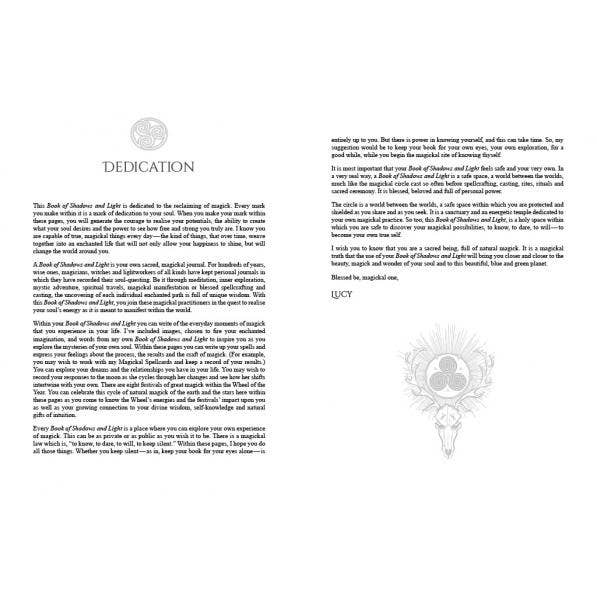 Cardshouse - Wholesale Biography & Memoir - Book Of Shadows And Light Journal Blue Angel2