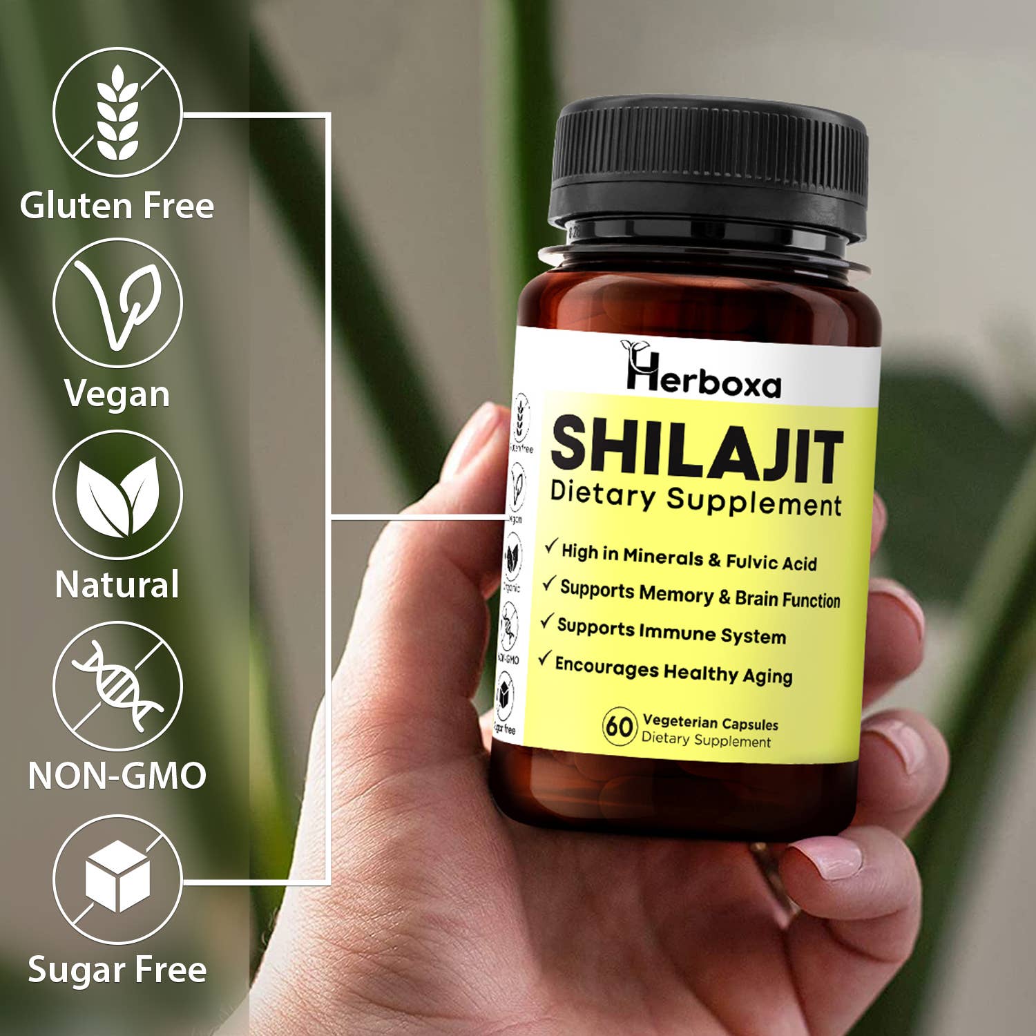 Likasso - Vente Supplément oral/vitamine - Capsules de soutien immunitaire et de stimulation du cerveau Herboxa Shilajit5