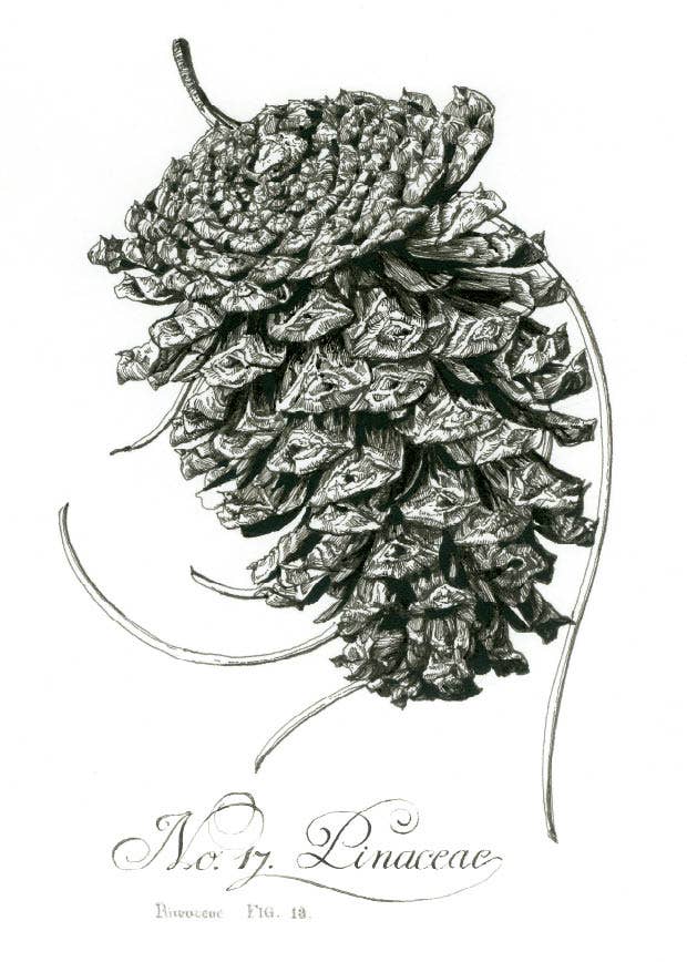 Bomo Art Budapest - Wholesale Everyday Greeting Card - Greeting Card + Envelope111