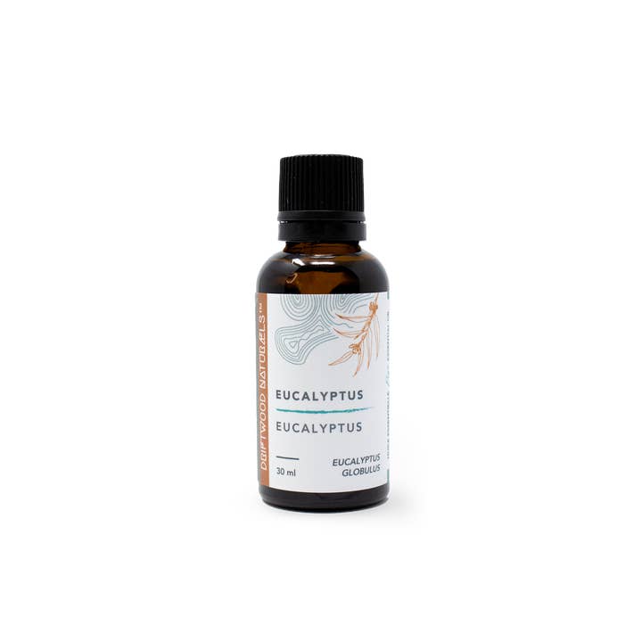Eucalyptus - Huile Essentielle Pure for wholesale by DRIFTWOOD NATURALS