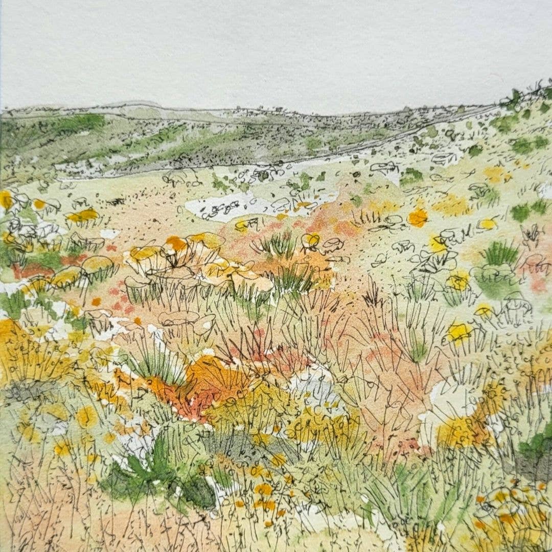 Alison McEvoy Pen & Watercolour - Venta al por mayor Tarjetas de felicitación - Tarjeta de Felicitación Meadow I0