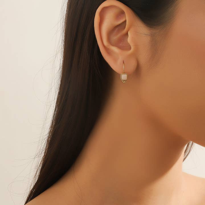 24BOA125 Stainless Steel Sleeper Earrings for wholesale by Blossom bijoux