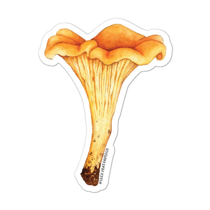 Chanterelle Mushroom Sticker for wholesale by Lucky Bat Paper Co.
