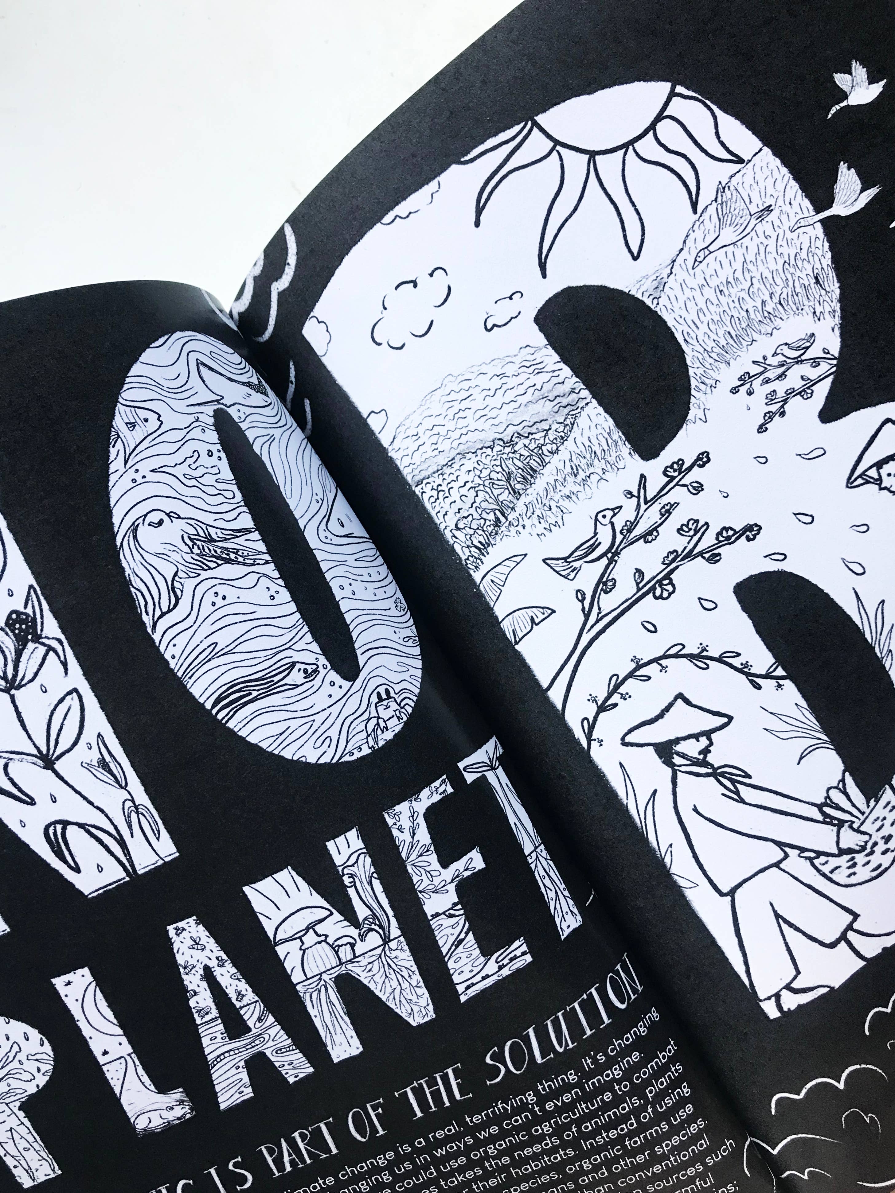 Katinka Feijs - Wholesale Coloring & Activity Book - Adult - Organic Agriculture Coloring Book7