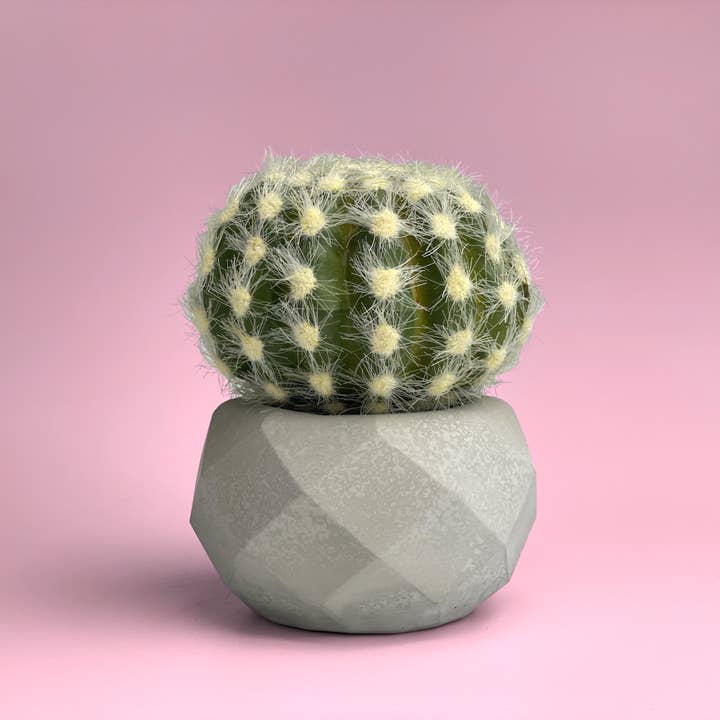 AURA 8 Art Boutique - Wholesale Plant Pot - Geometric Air Plant Holder, Small Plant, Mini Succulent Pot
