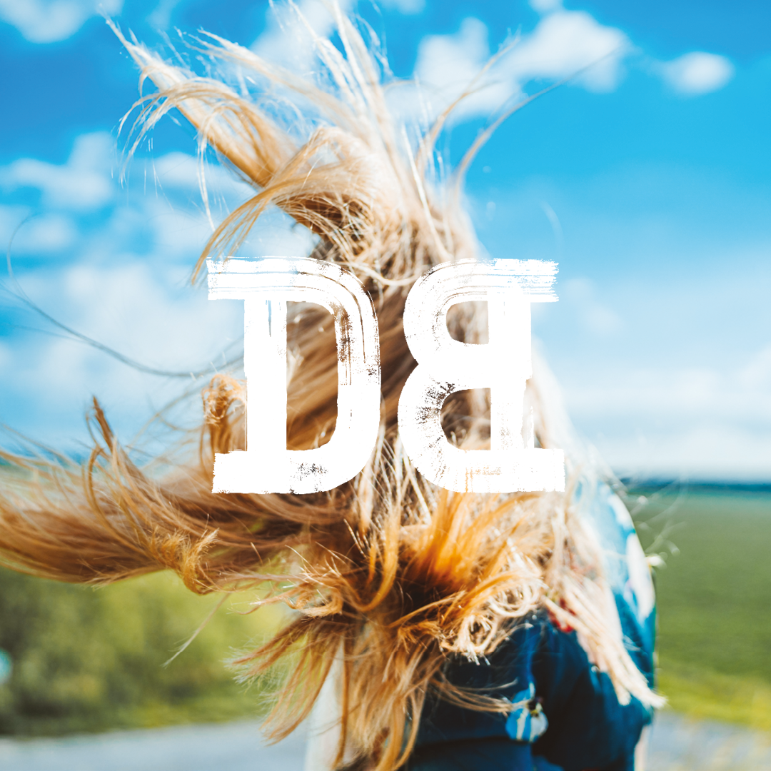 Dutch Bargain - Wholesale Beer - Zeeuws Blonde Beer 12x33cl2