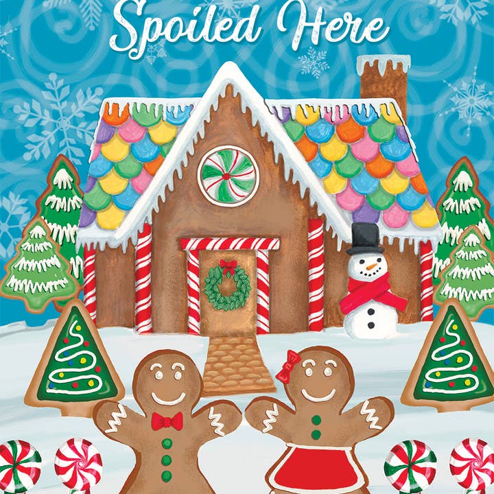 Briarwood Lane - Wholesale Flag - Grandkids Spoiled Here Christmas Garden Flag