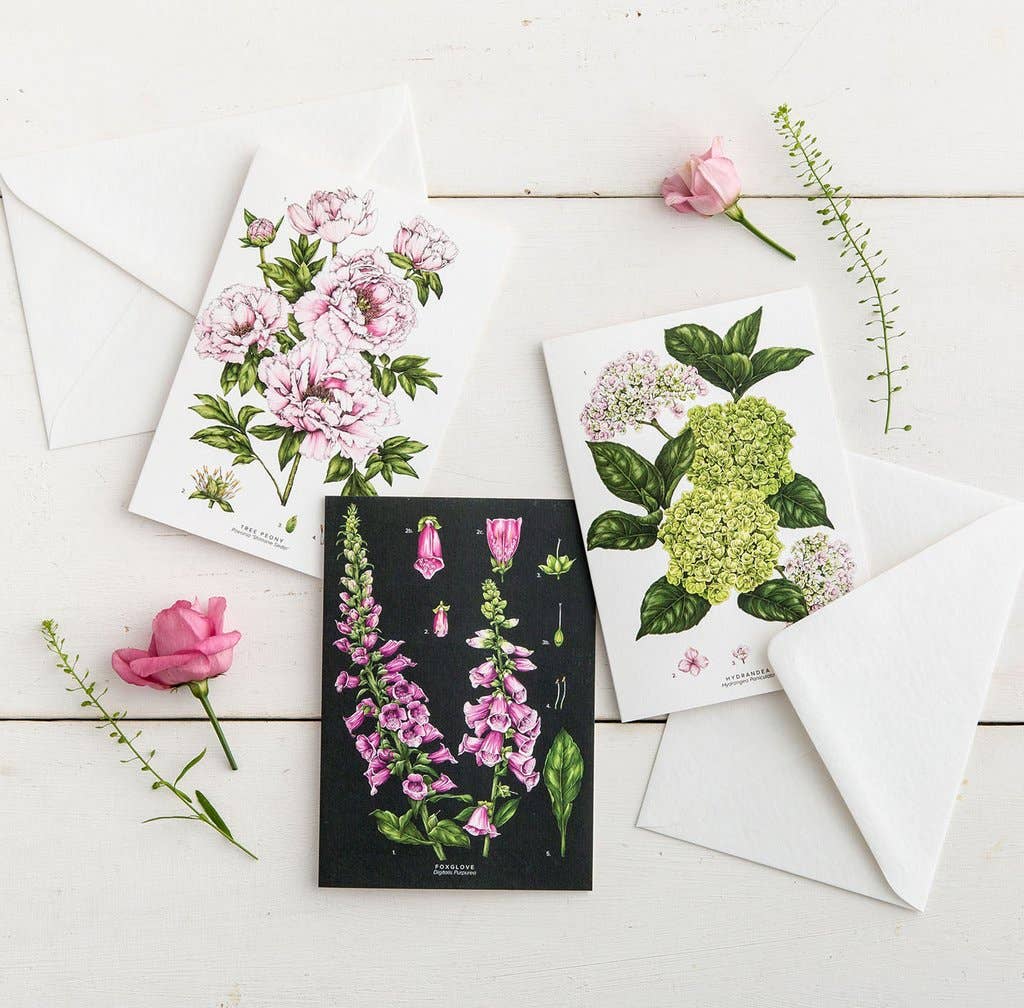 Catherine Lewis Design - Wholesale Everyday greeting card - Tree Peony2