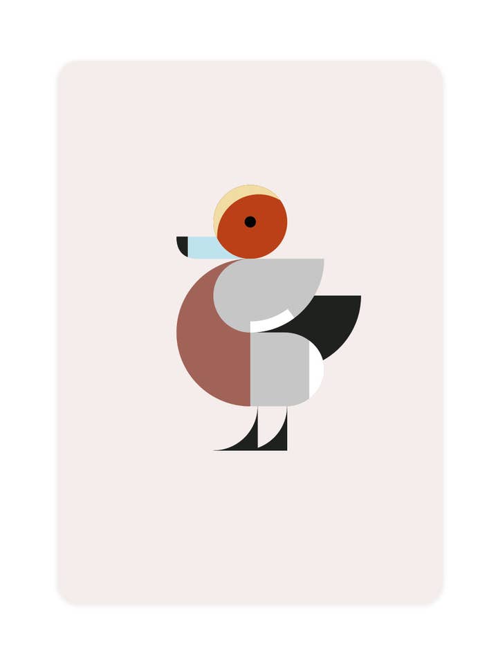 Postcard with Wigeon for wholesale by Eendje